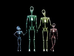Цікаві факти про кістки людини